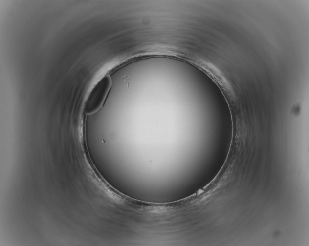 X0000097001188200802151407