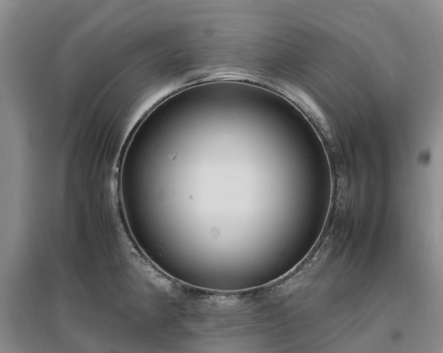 X0000097001190200802151407