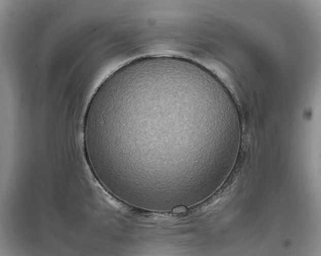 X0000097001191200802151407