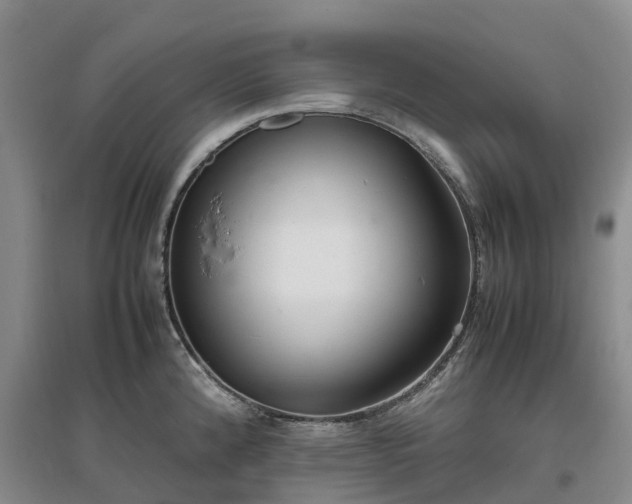 X0000097001192200802151407