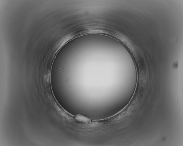 X0000097001193200802151407