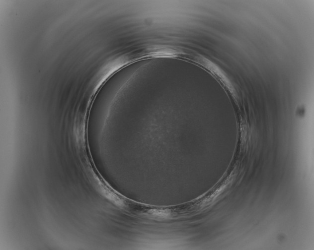 X0000097001194200802151407