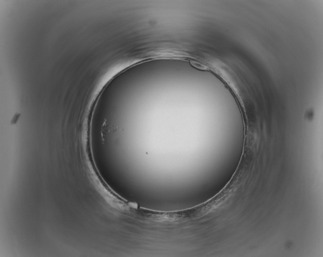 X0000097001195200802151407