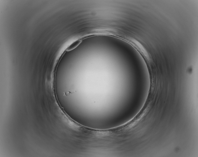 X0000097001196200802151407