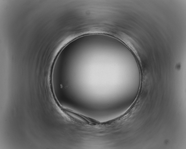 X0000097001197200802151407