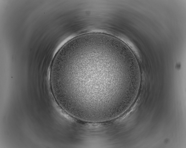 X0000097001198200802151407