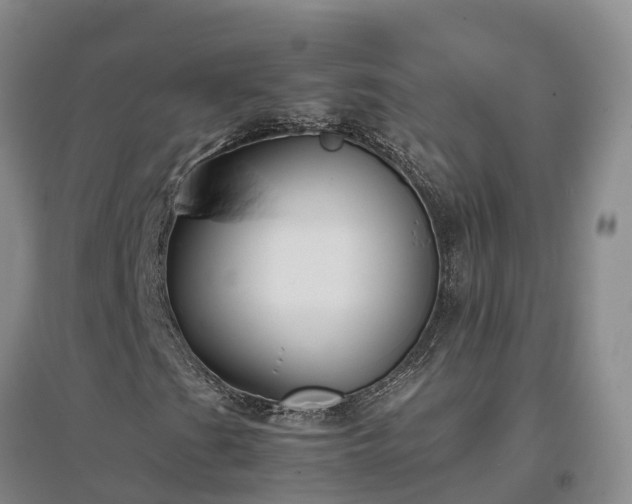 X0000097001201200802151407