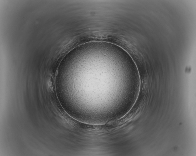 X0000097001202200802151407
