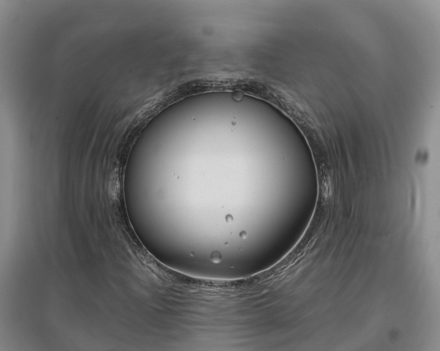 X0000097001204200802151407