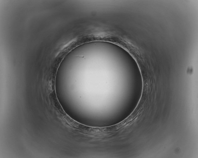 X0000097001205200802151407