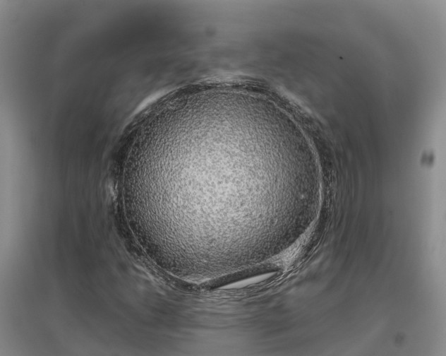 X0000097001206200802151407