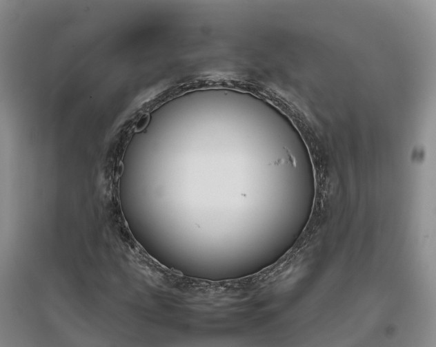 X0000097001207200802151407