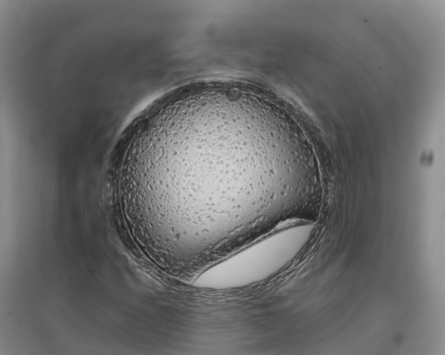 X0000097001208200802151407