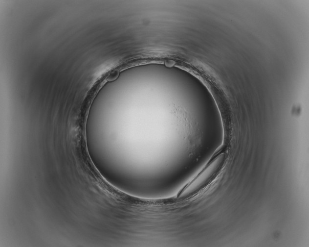 X0000097001210200802151407