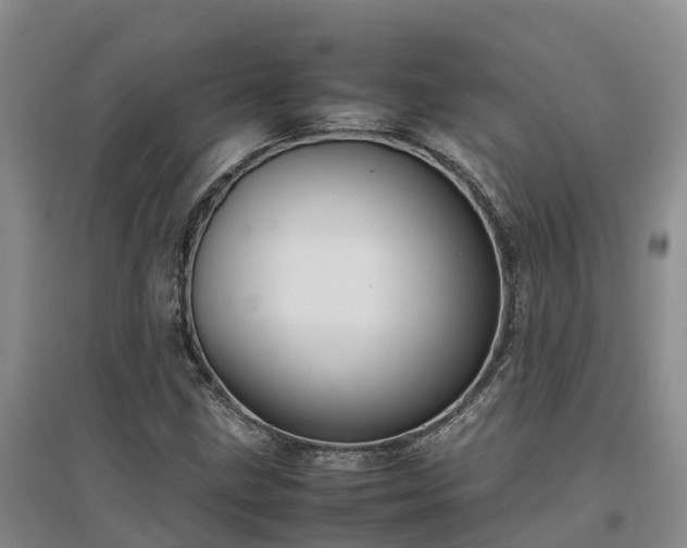 X0000097001211200802151407