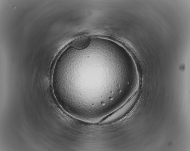 X0000097001212200802151407