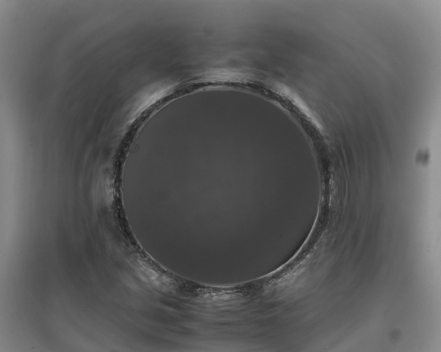 X0000097001213200802151407