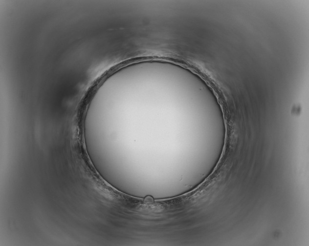 X0000097001215200802151407