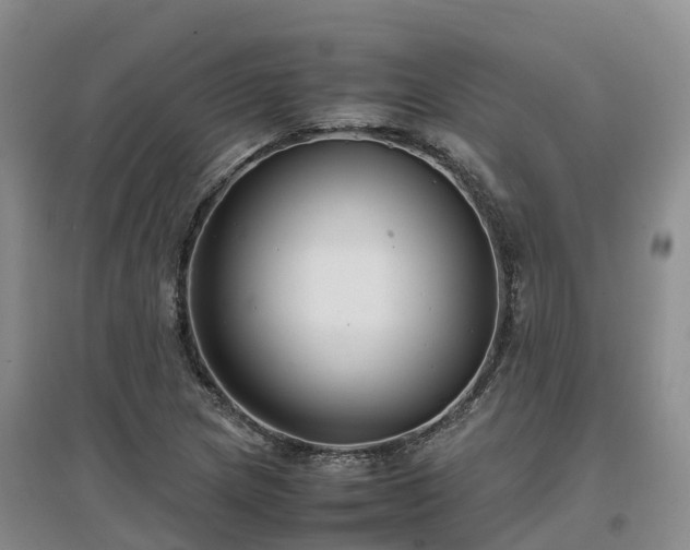 X0000097001217200802151407
