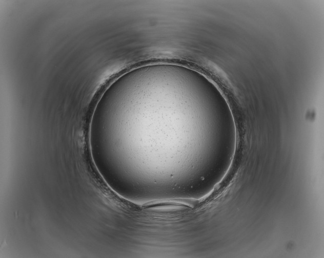 X0000097001218200802151407