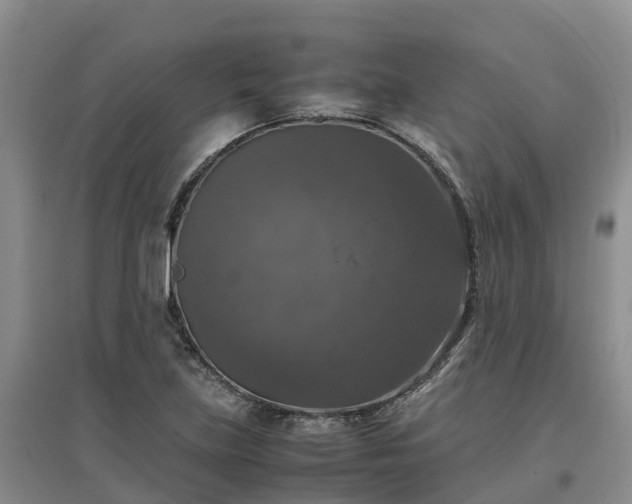 X0000097001219200802151407