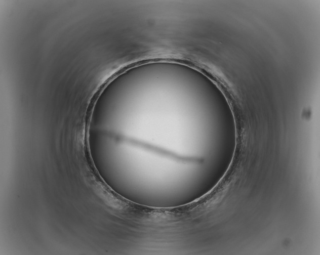X0000097001220200802151407