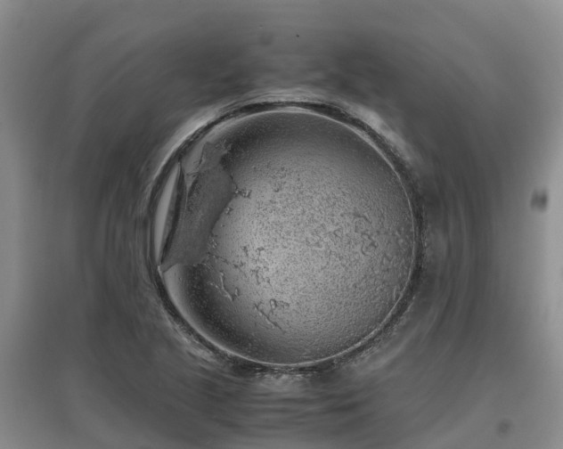X0000097001221200802151407