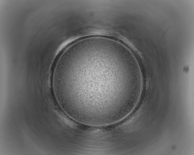 X0000097001222200802151407