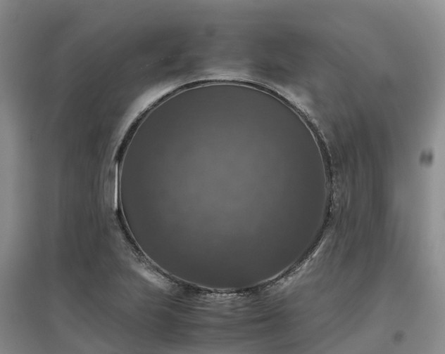 X0000097001223200802151407