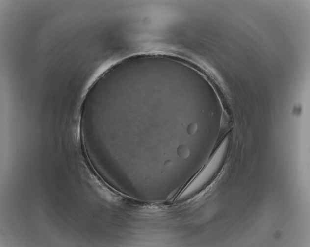 X0000097001224200802151407