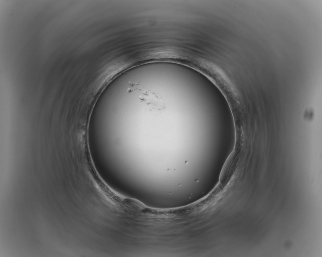 X0000097001225200802151407