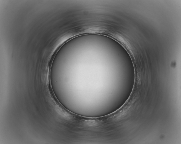X0000097001227200802151407
