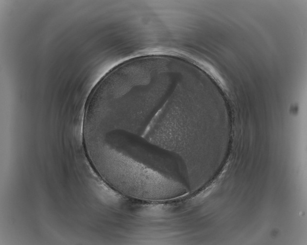 X0000097001228200802151407