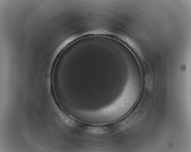 X0000097001229200802151407