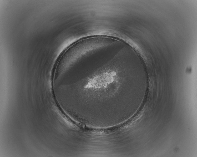 X0000097001230200802151407