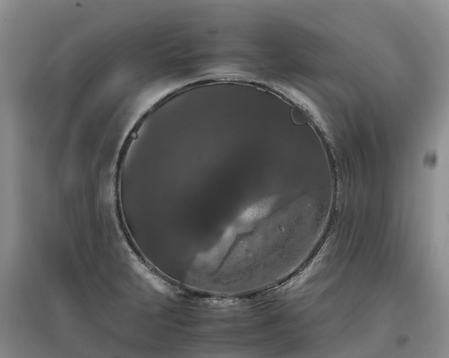 X0000097001231200802151407