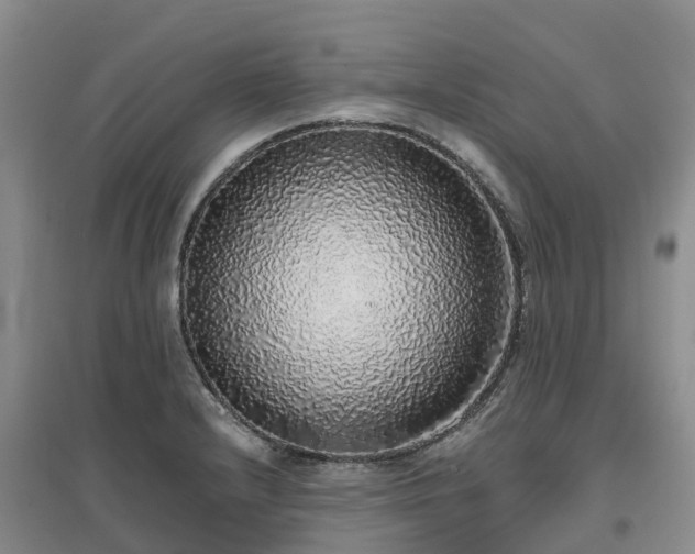 X0000097001232200802151407