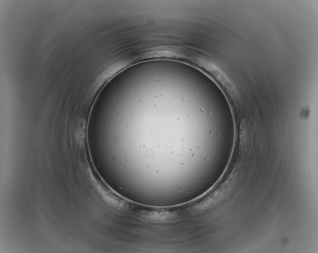 X0000097001233200802151407
