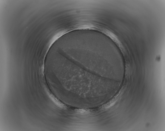 X0000097001234200802151407