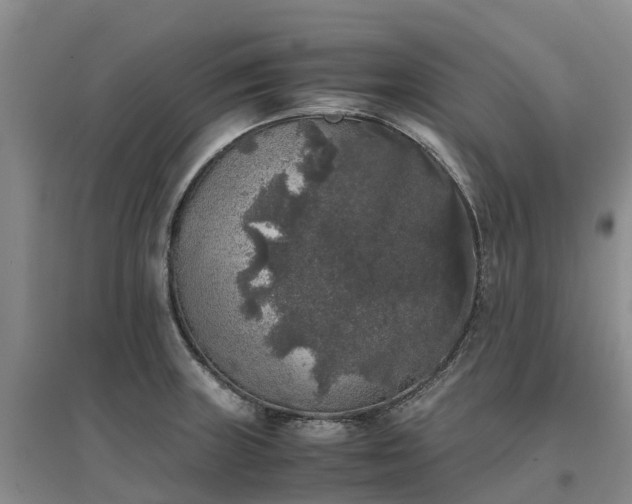 X0000097001235200802151407