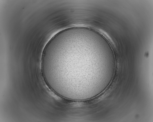 X0000097001236200802151407