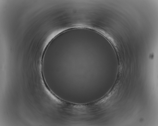 X0000097001239200802151407