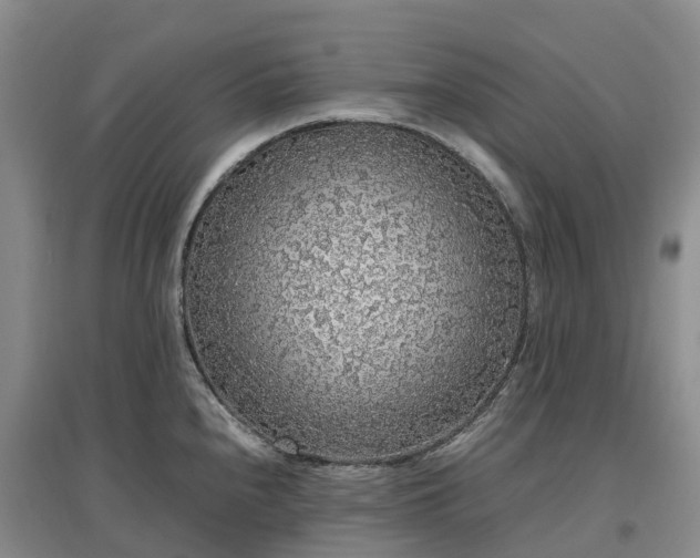 X0000097001240200802151407