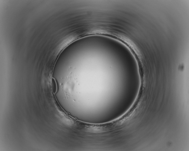 X0000097001241200802151407