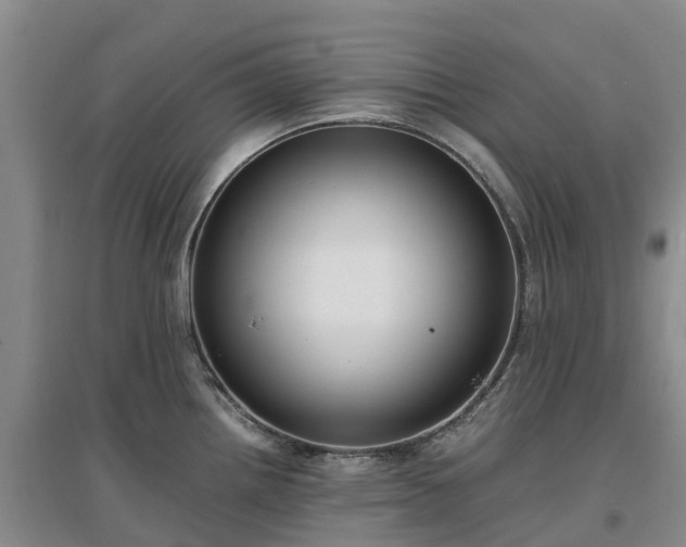 X0000097001242200802151407