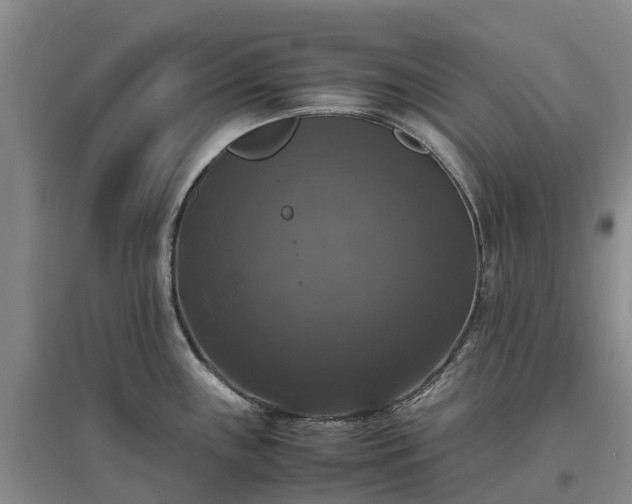 X0000097001243200802151407
