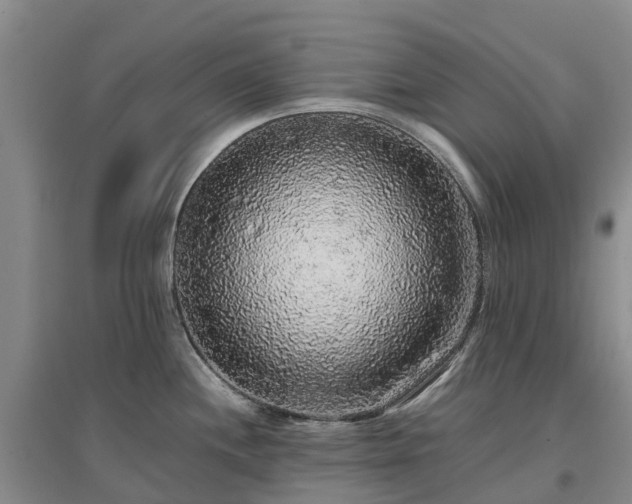 X0000097001244200802151407