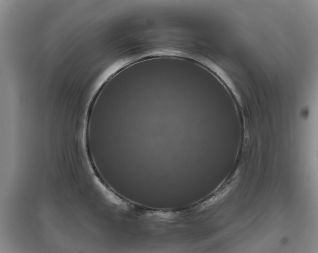 X0000097001245200802151407