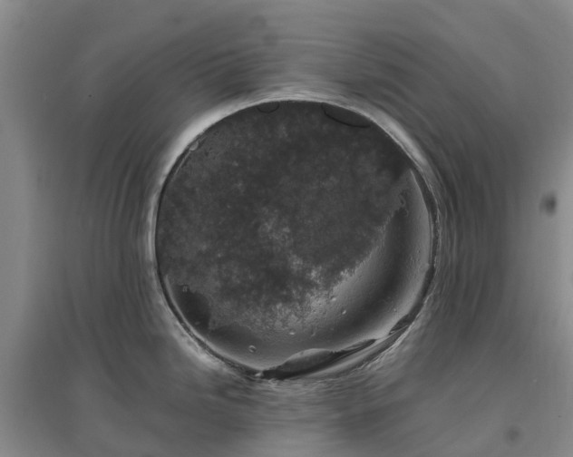 X0000097001246200802151407