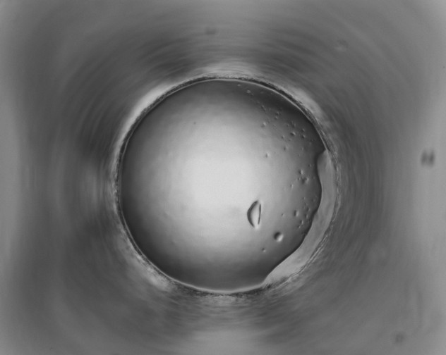 X0000097001248200802151407